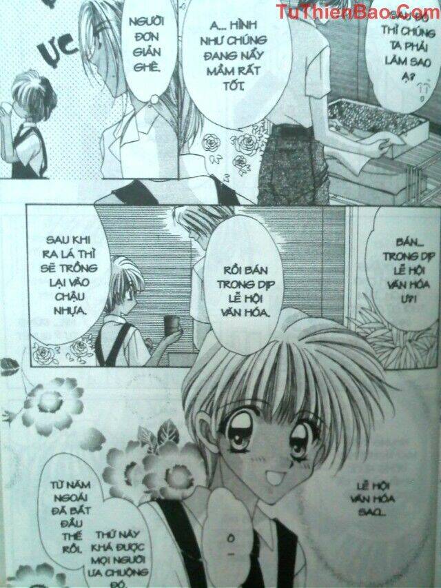 nguyện ước dưới ánh sao chapter 2 136