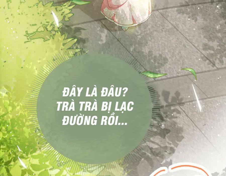 nhặt được bảo bối manh manh chapter 1 60