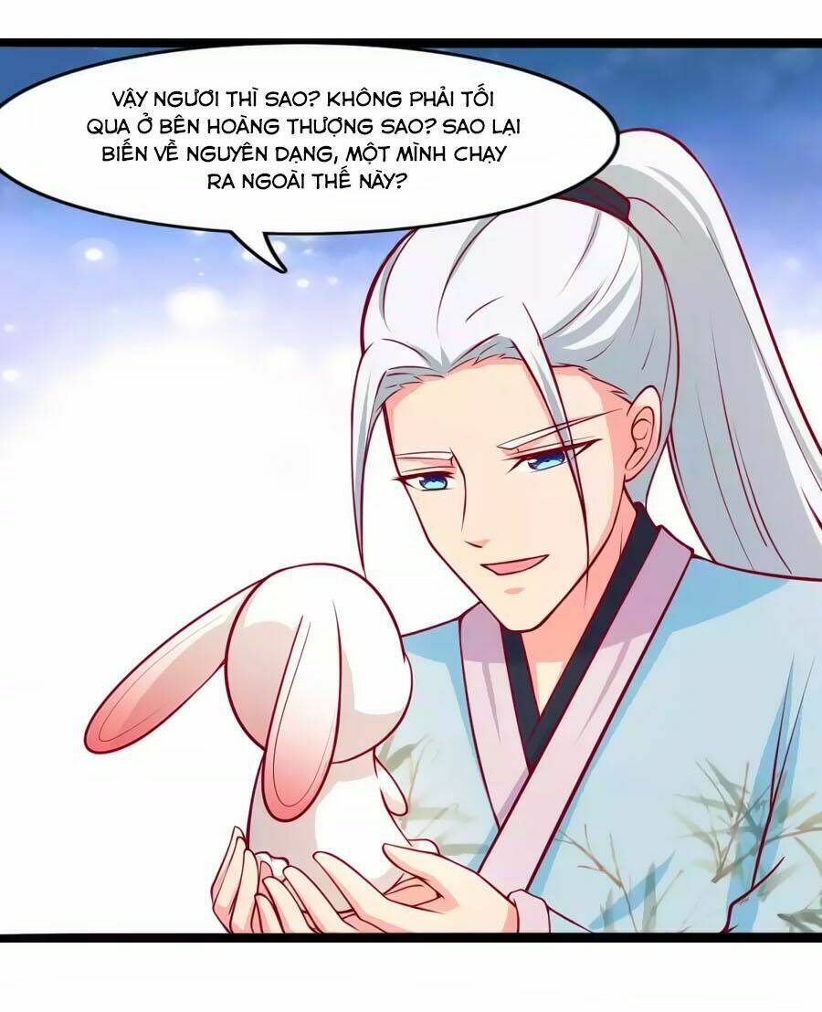 thỏ yêu tiểu vương phi chapter 77 28