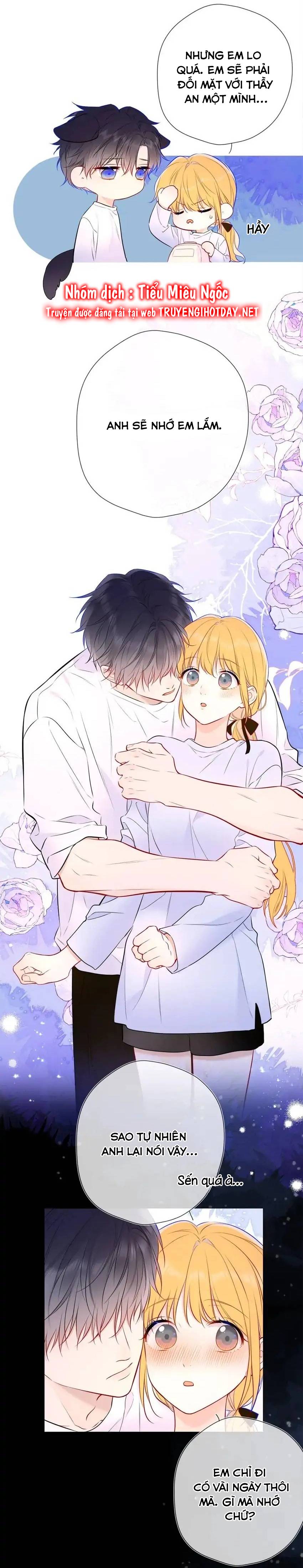Vì Sao Của Tôi chapter 144 - Trang 7