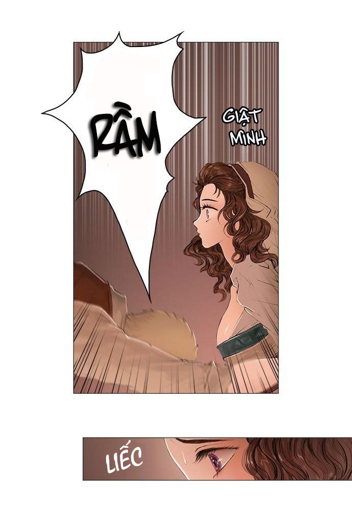 tôi chính là nhà sưu tập chim chapter 1 37