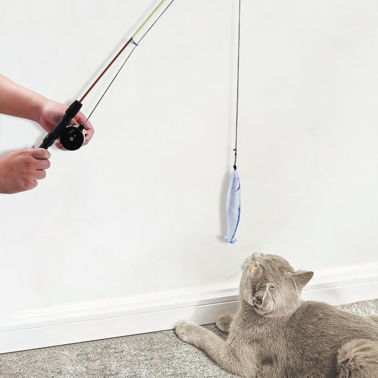 Cat Teaser  Interactive Cat Toys Training Exercise for Pet Supplies