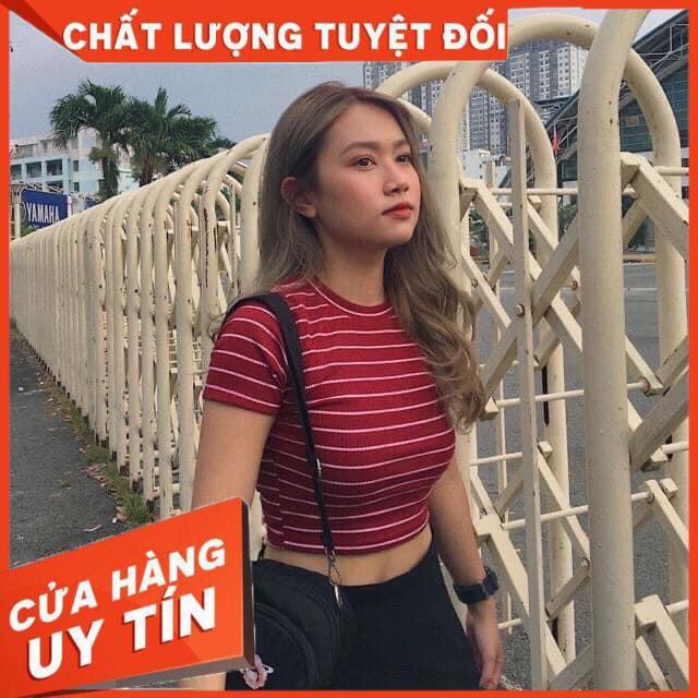 ÁO CROPTOP SỌC THUN GÂN XUẤT DƯ- ảnh thật tự chụp