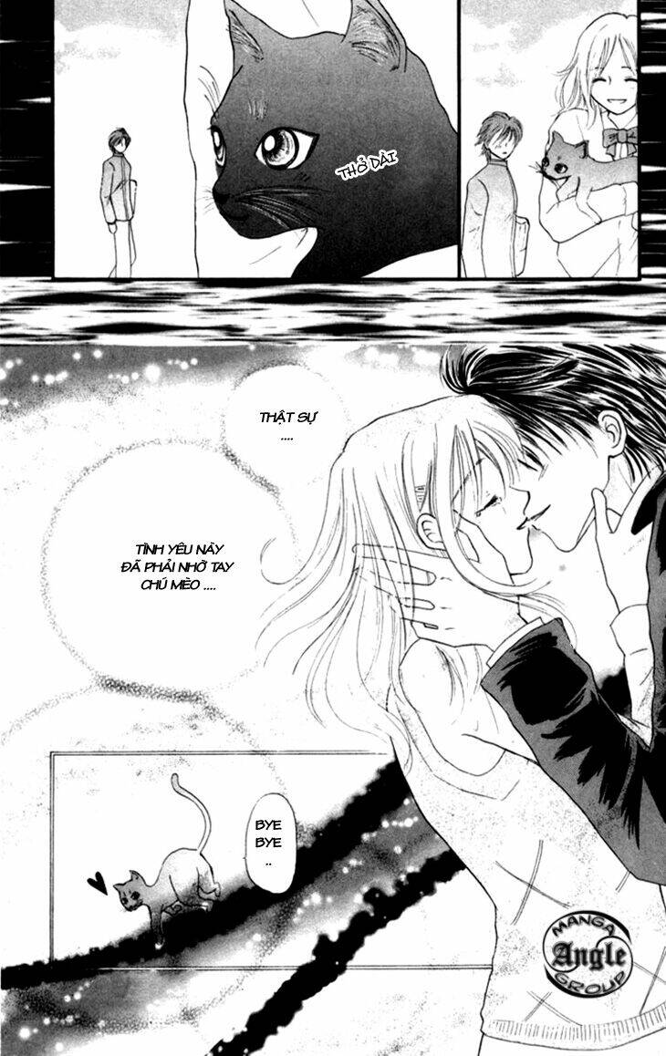 devil cat's temptation chapter 1 35