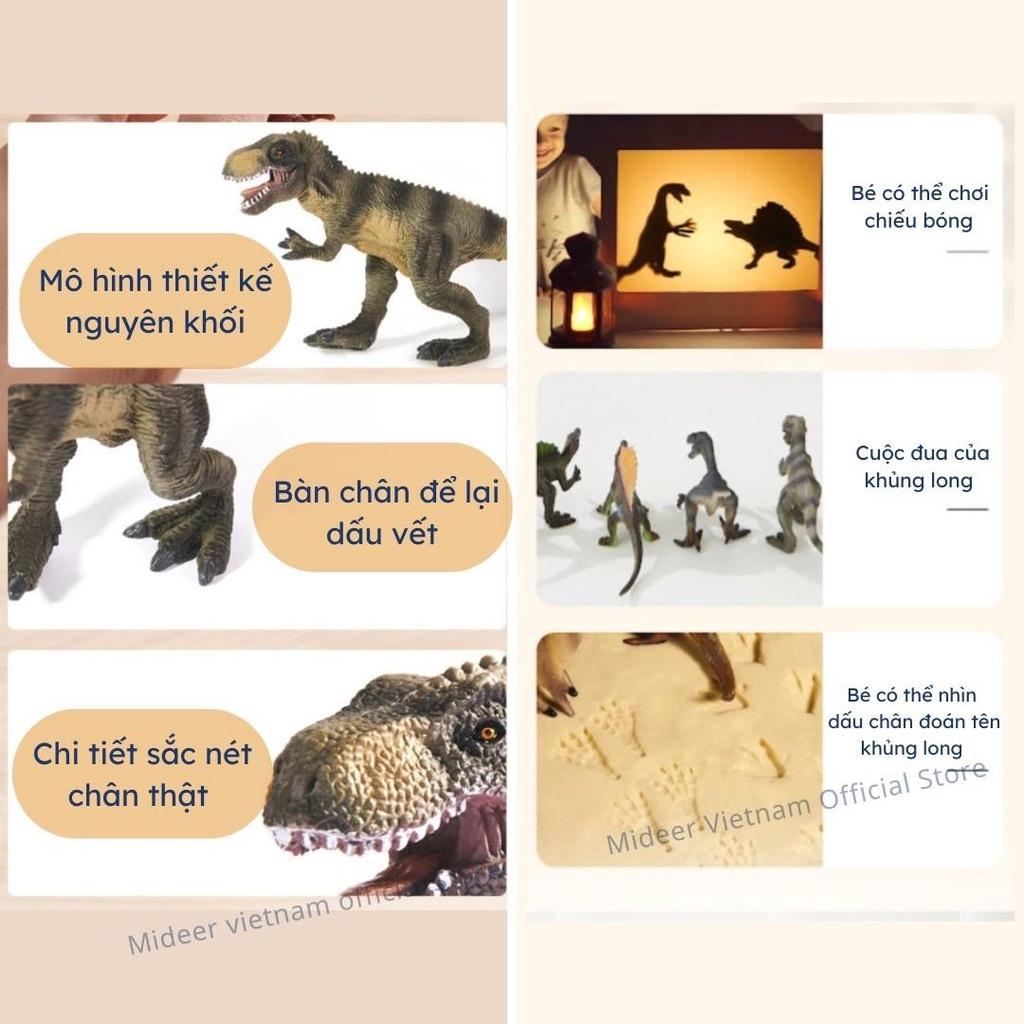 Mô hình khủng long mini cao su mềm Mideer Dinosaur Toys Set jurassic world T-rex spinosaurus