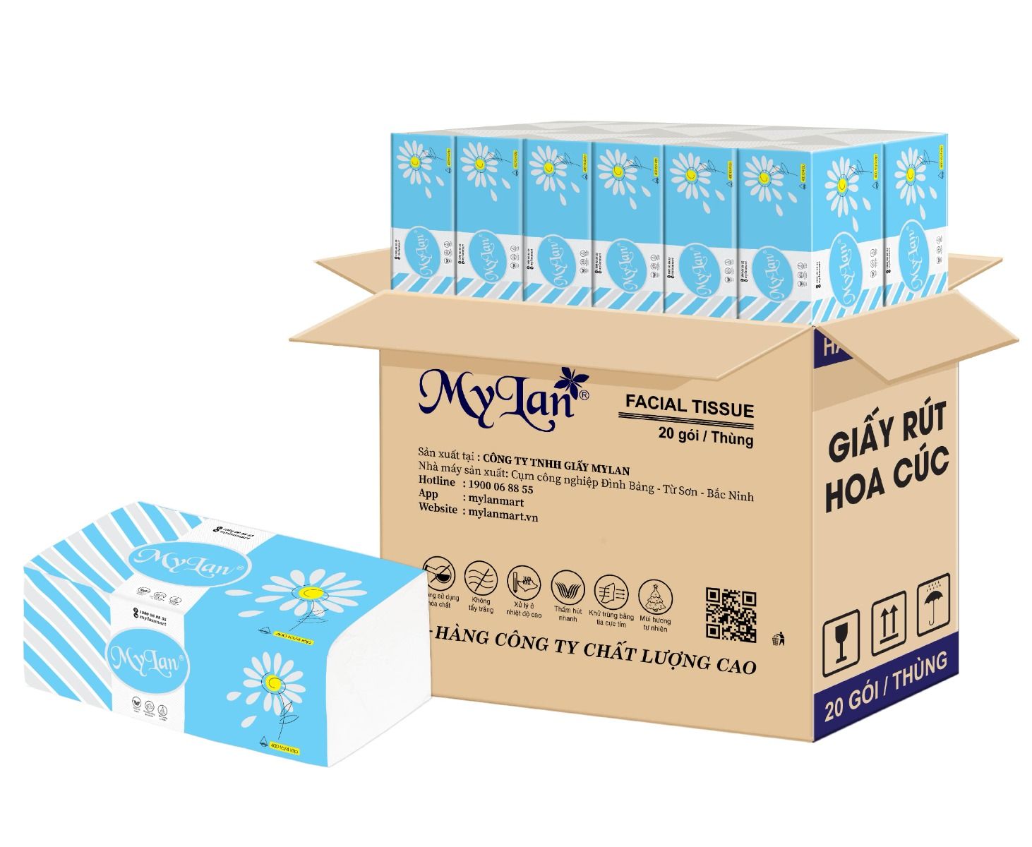 Giấy rút hoa cúc