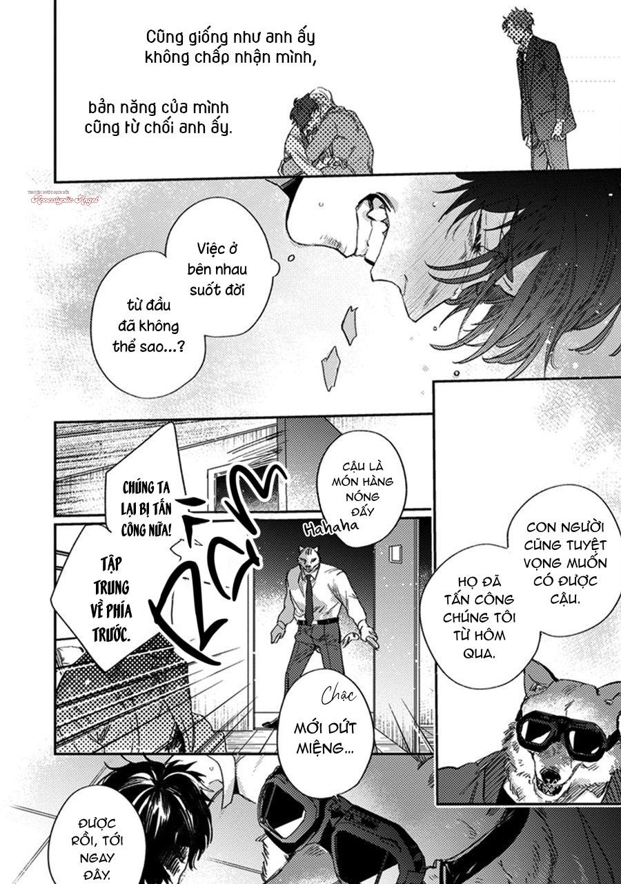 sự rung động thuần khiết chapter 5 21