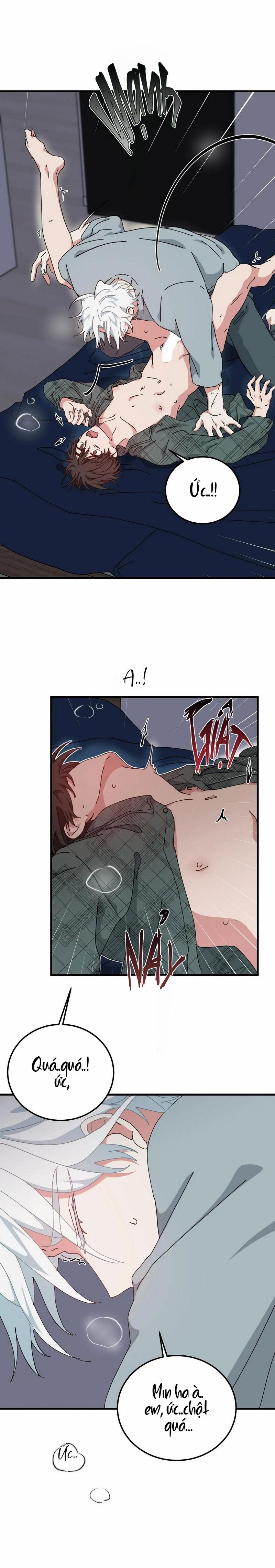 yêu tôi đi, thần hộ mệnh chapter 43 12