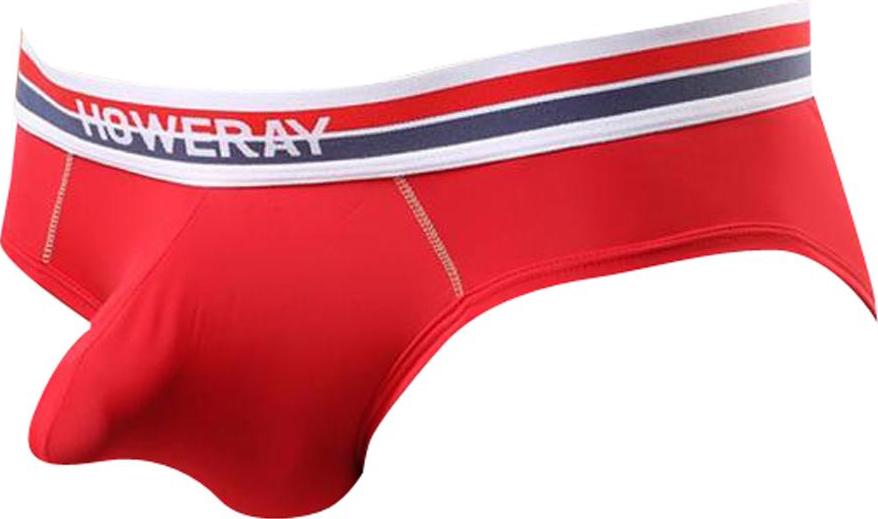 Sexy Men Low Rise Briefs Underwear Panties Underpants Shorts