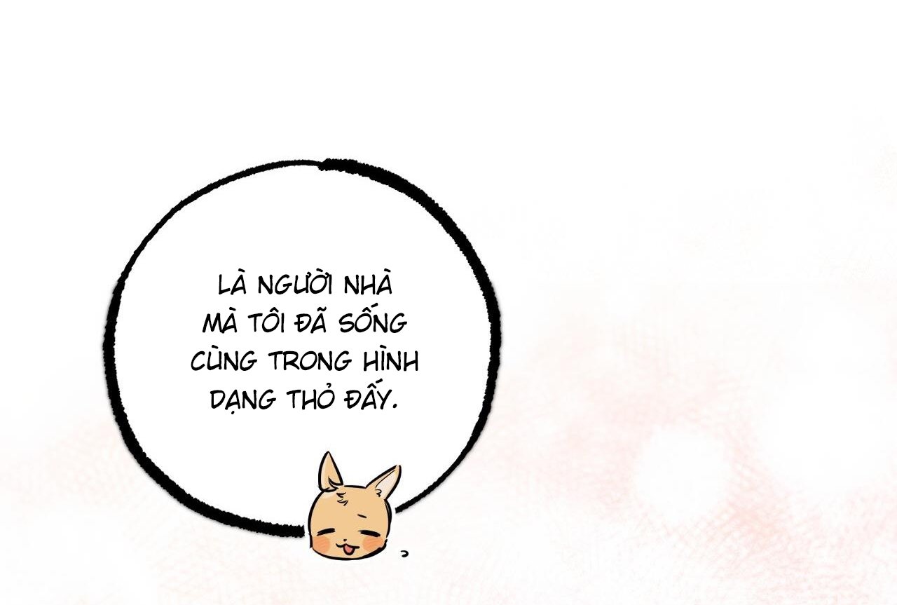 những chú thỏ của hapypy chapter 58 39