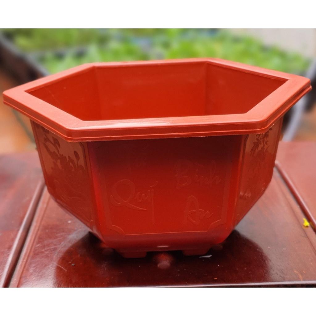Chậu nhựa Bonsai Lục giác 280 đa sắc màu .