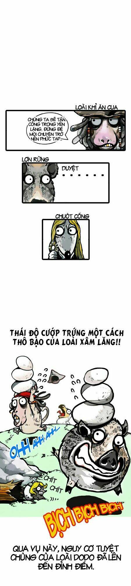 earth, human, and animal chapter 5 11