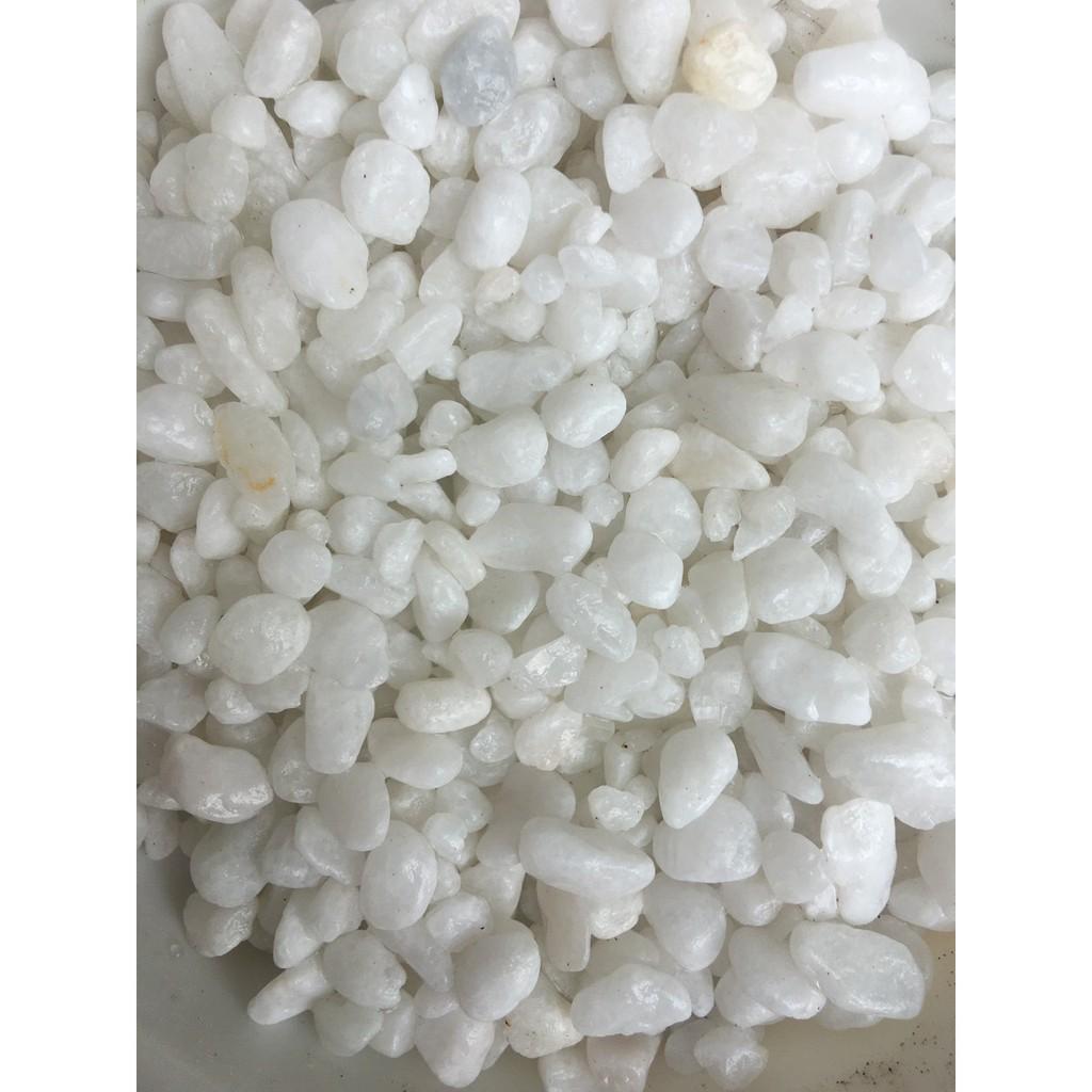 Sỏi trắng cỡ nhỏ 5-10 mm trang trí chậu sen đá 500gr