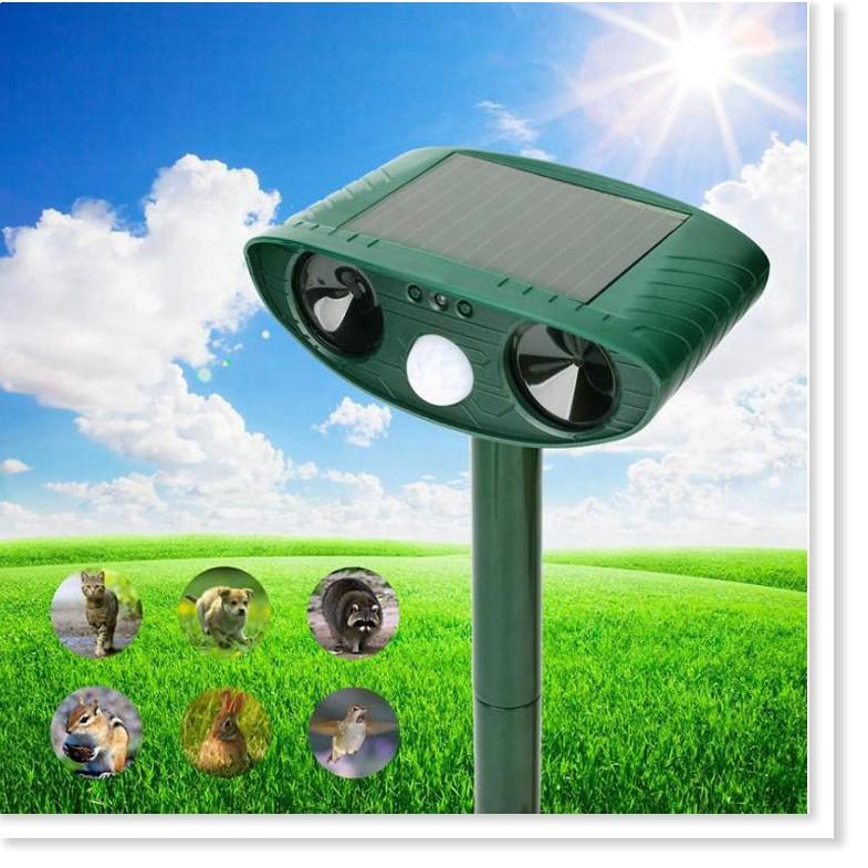 Bộ Máy đuổi chim Repeller Solar