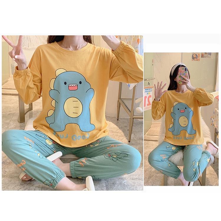 Bộ Đồ Dài Tay Hình Khủng Long Phong Cách Hàn Quốc