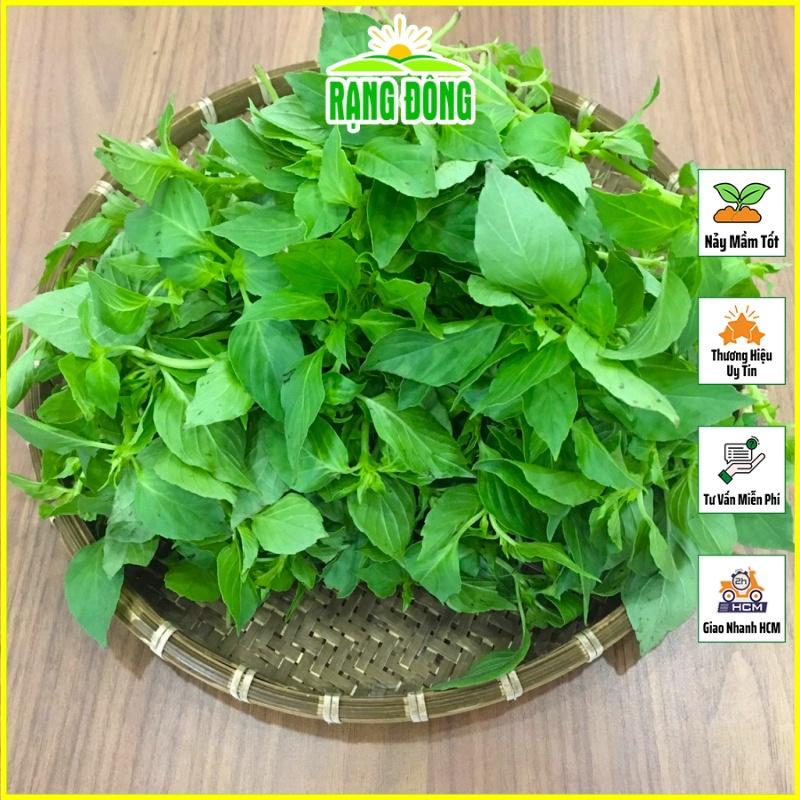 Hạt giống Rau Thơm Sả (É Trắng) Sinh Trưởng Mạnh, Trồng Quanh Năm (gói 2 gram) - Hạt Giống Rạng Đông