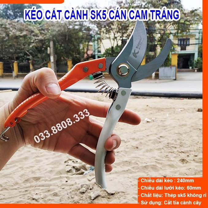 KÉO CẮT CÀNH CÁN CAM TRẮNG - KÉO CHUYÊN DÙNG CẮT TỈA, KÉO SẮC ĐẸP