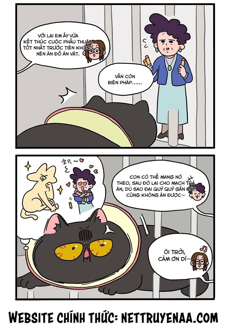 a mãn và mạch trà chapter 18.1 4