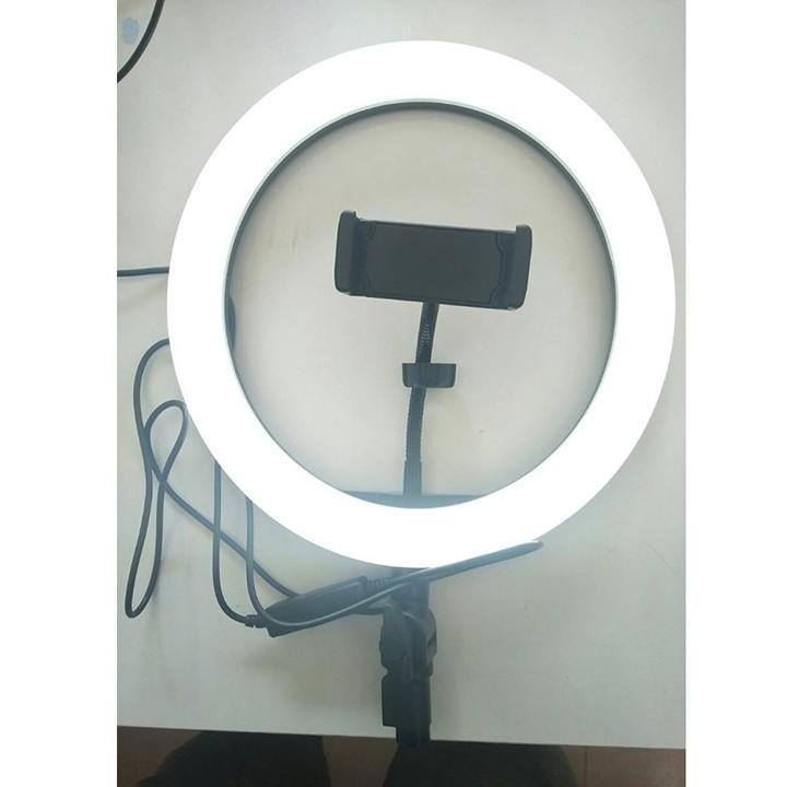 Bộ live stream cỡ lớn 26cm