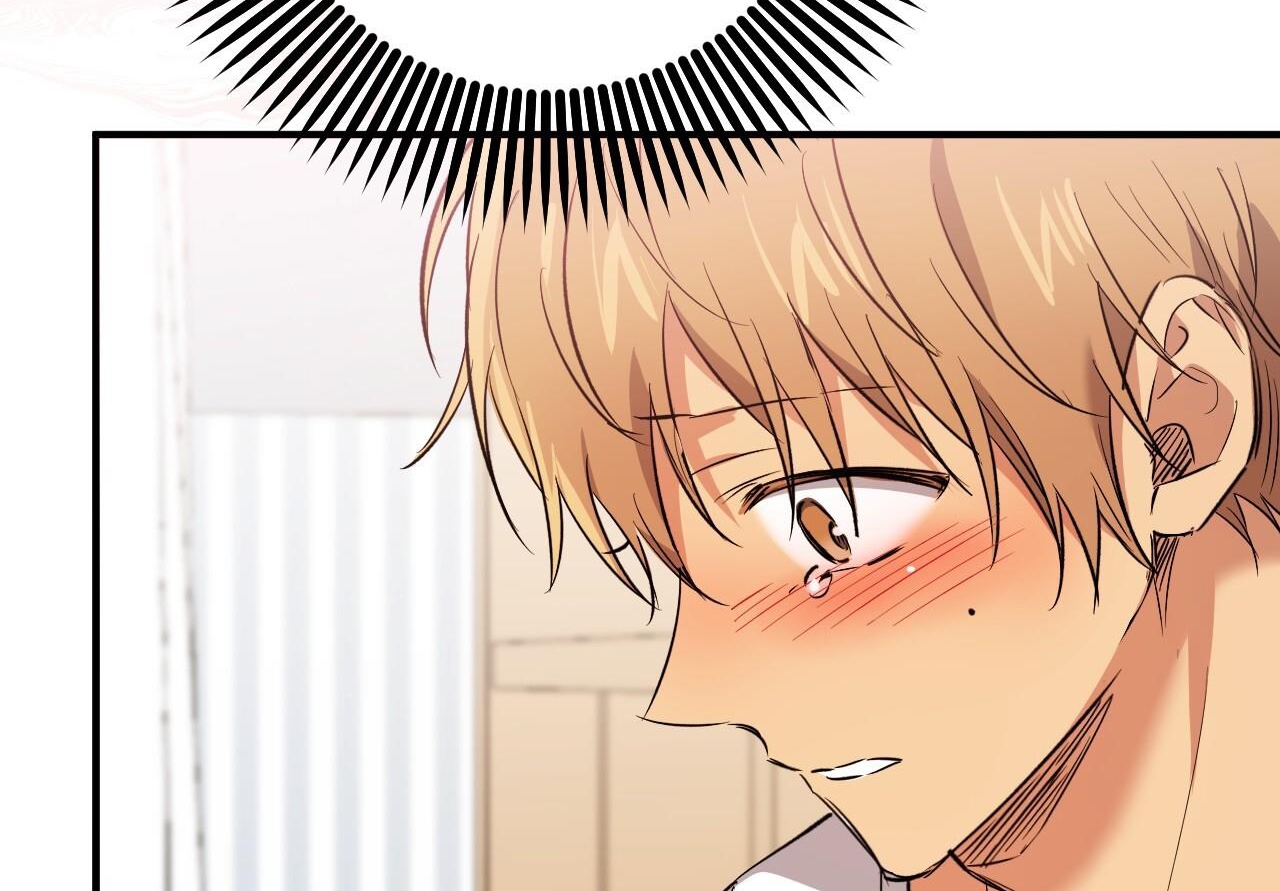 đàn thỏ của habibi chapter 59 218