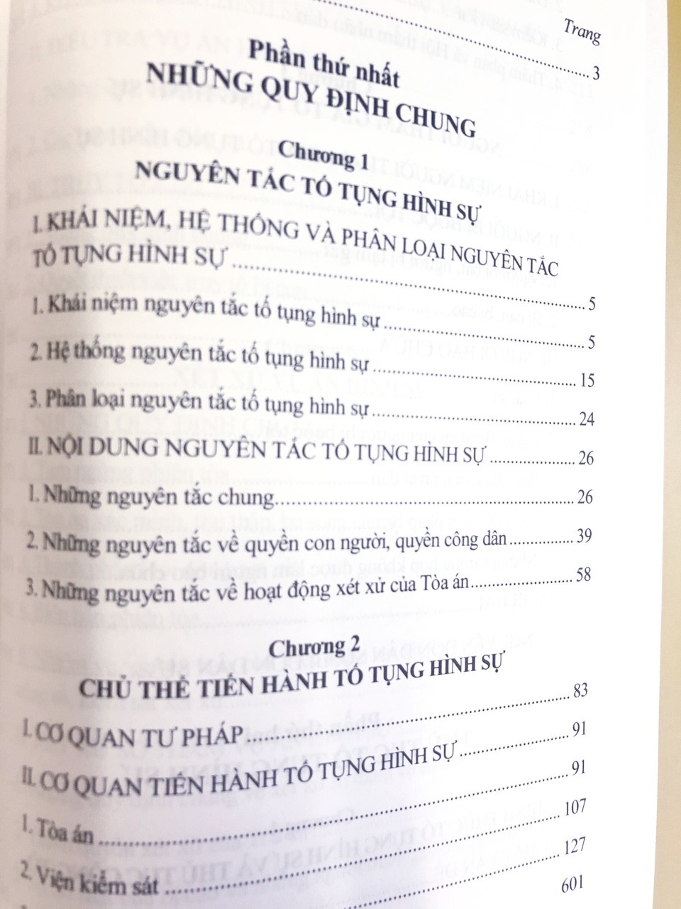 Pháp Luật Tố Tụng Hình Sự Với Việc Bảo Vệ Quyền Con Người