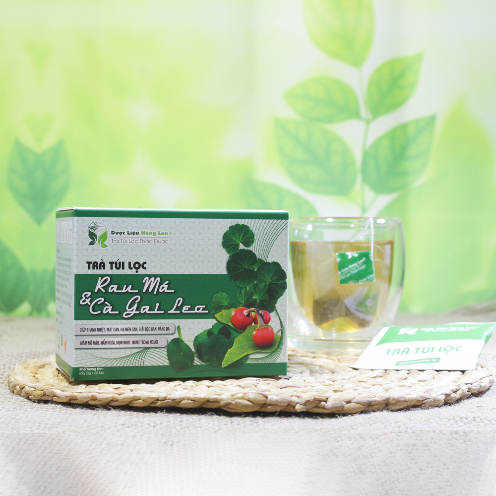 Trà Rau Má & Cà Gai Leo túi lọc hộp 60g Cty Dược Liệu Hồng Lan -