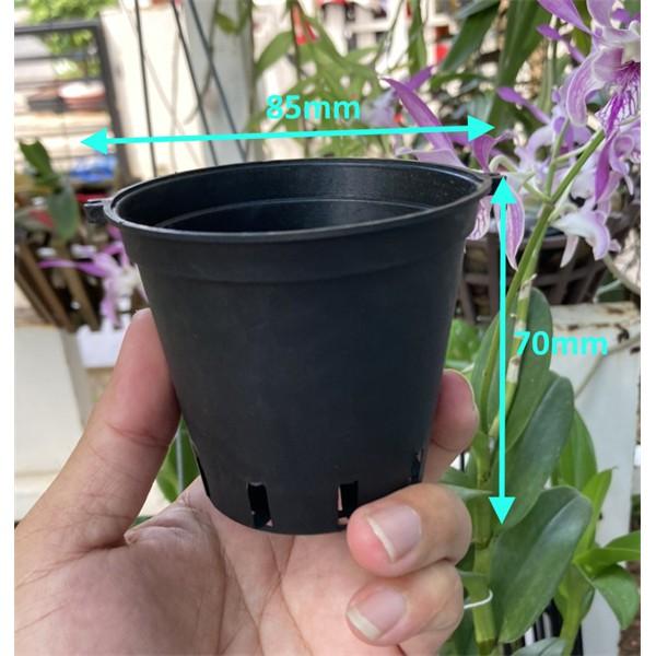 COMBO 5 chậu - Chậu Nhựa Ươm Lan, Nhựa HDPE Nguyên Sinh Phi 85mm, 100mm, 140mm