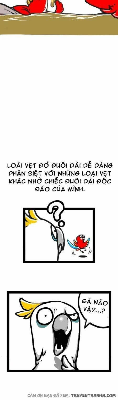 earth, human, and animal chapter 11 9