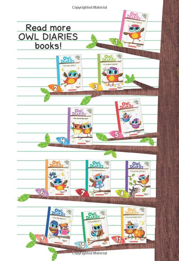 Sách ngoại văn: Owl Diaries #10: Eva and Baby Mo