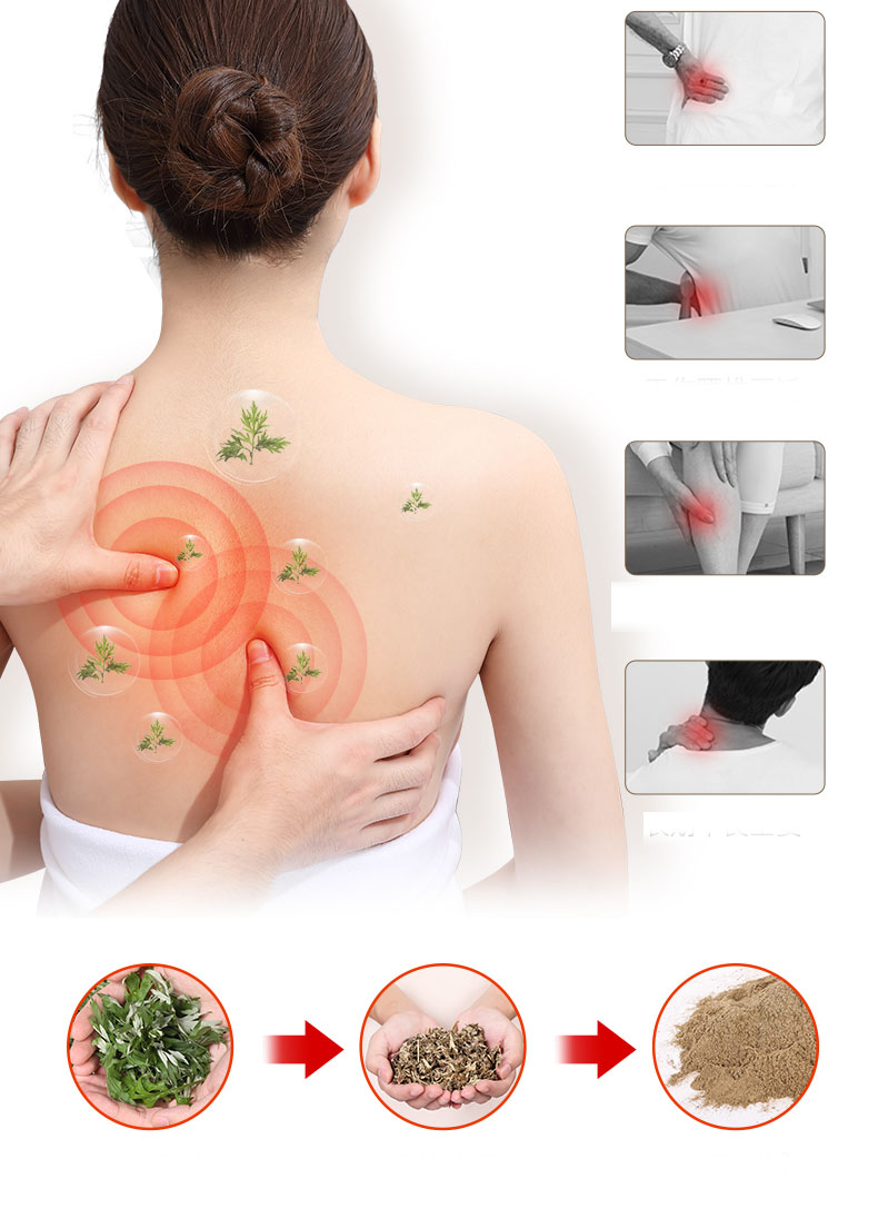 Gối massage ô tô cao cấp  , thư giãn chống mỏi lưng dễ chịu phục hồi sức khỏe AM-509