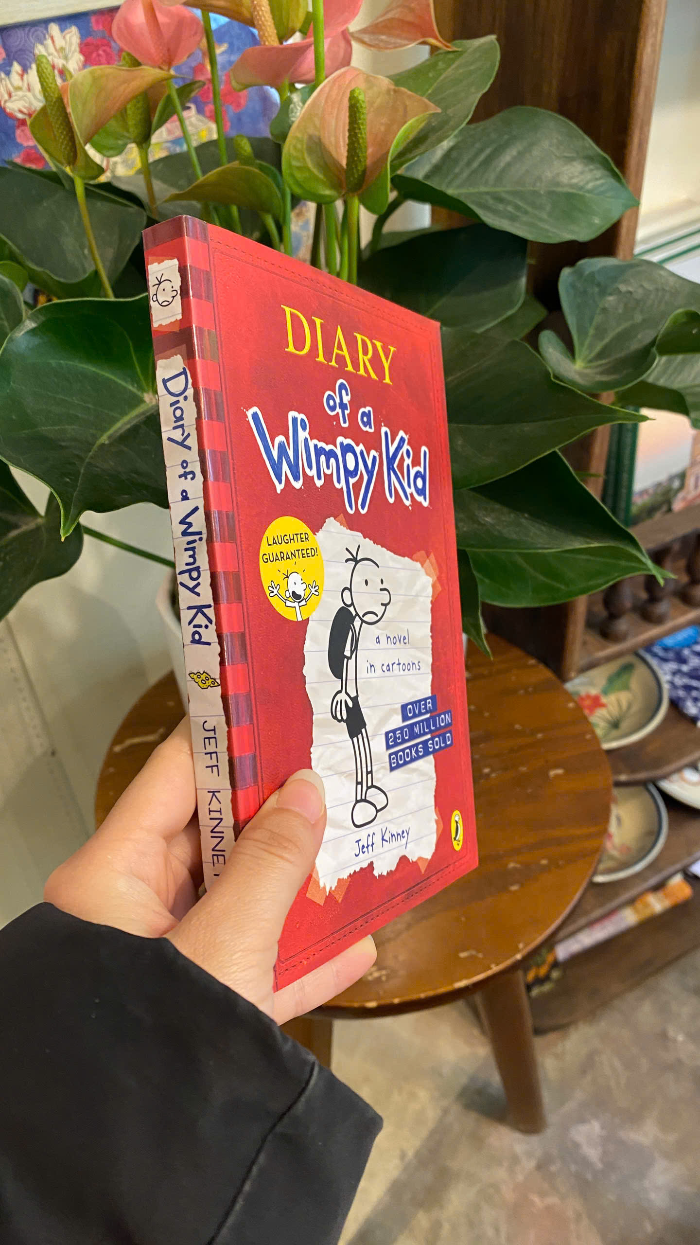 Sách - Diary Of A Wimpy Kid by Jeff Kinney | Children’s Book / Ngoại văn Thiếu nhi Tiếng Anh cho Trẻ