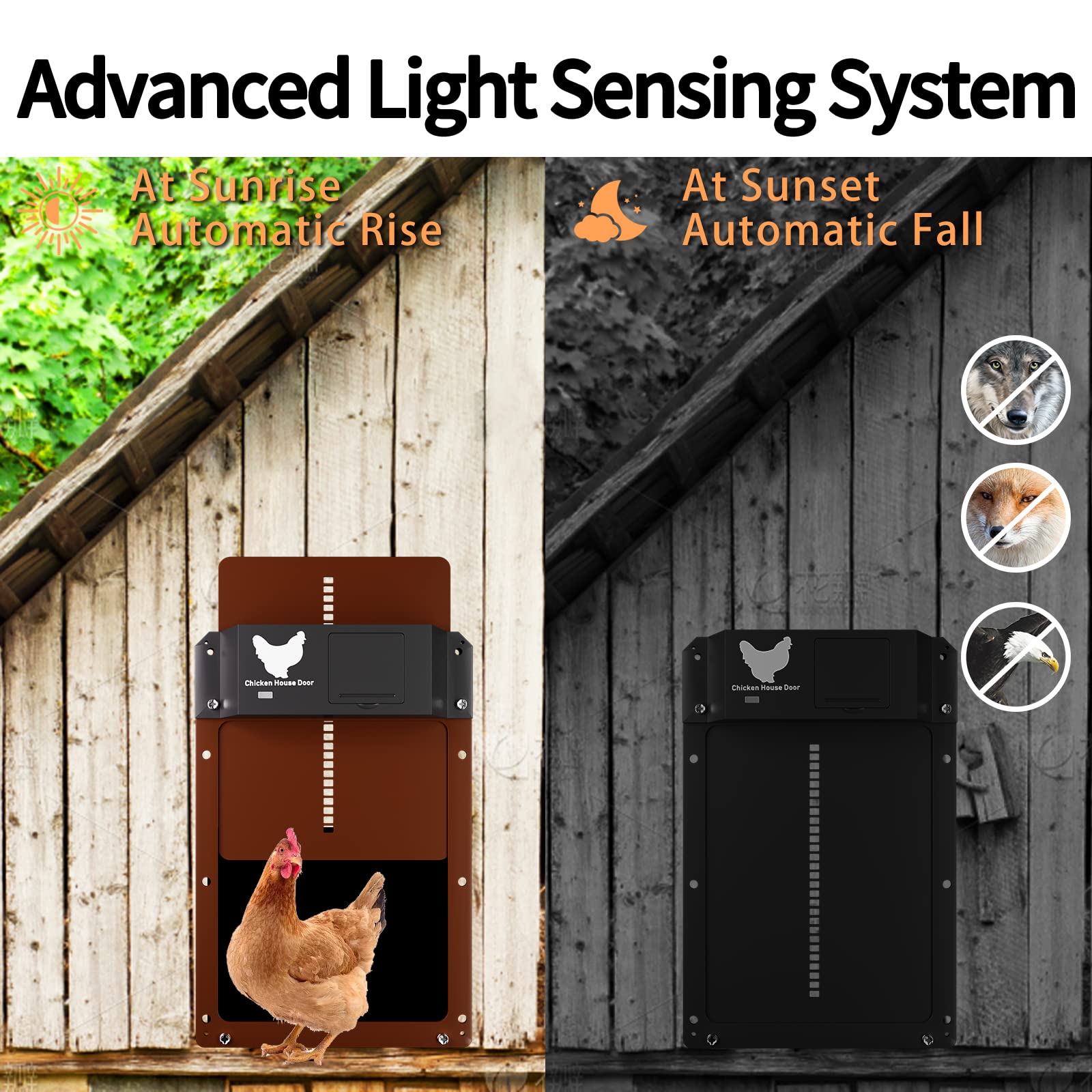 Cửa Lùa Gà Tự Động Đóng Mở Automatic Chicken House Door