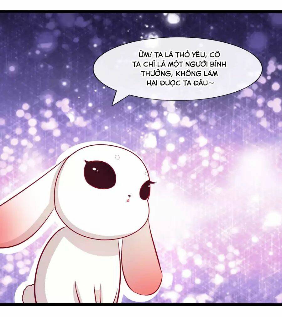 thỏ yêu tiểu vương phi chapter 66 14