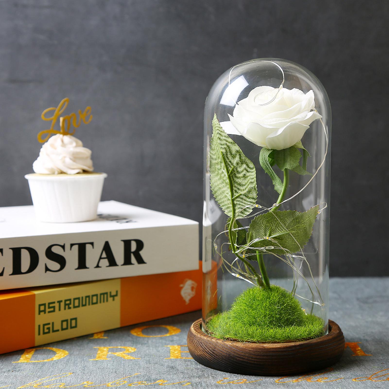 Hoa hồng giả dễ thương trong lồng kính, có đèn LED, làm quà tặng, trang trí