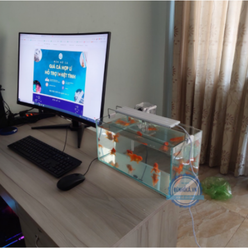 Bể cá mini 40cm COMBO đầy đủ - COMBO 40-WHITE