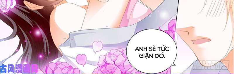 lóe thiểm hôn kiều thê mơ tưởng trốn chapter 262 8