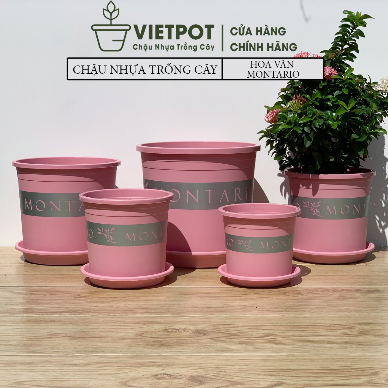 Chậu Nhựa Trồng Cây Vietpot, mã 48, màu hồng Montario, nhiều size, trồng cây hoa hồng, kiểng lá, sân vườn, ban công