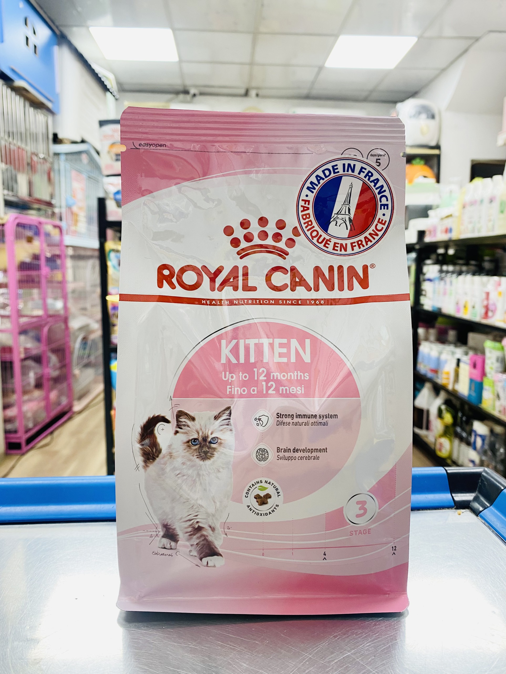 hật canin kitten cho mèo