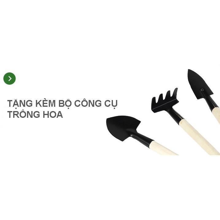 Kệ để chậu hoa cây cảnh gỗ thông trang trí để trong nhà ngoài trời sân vườn ban công phong cách Bắc Âu