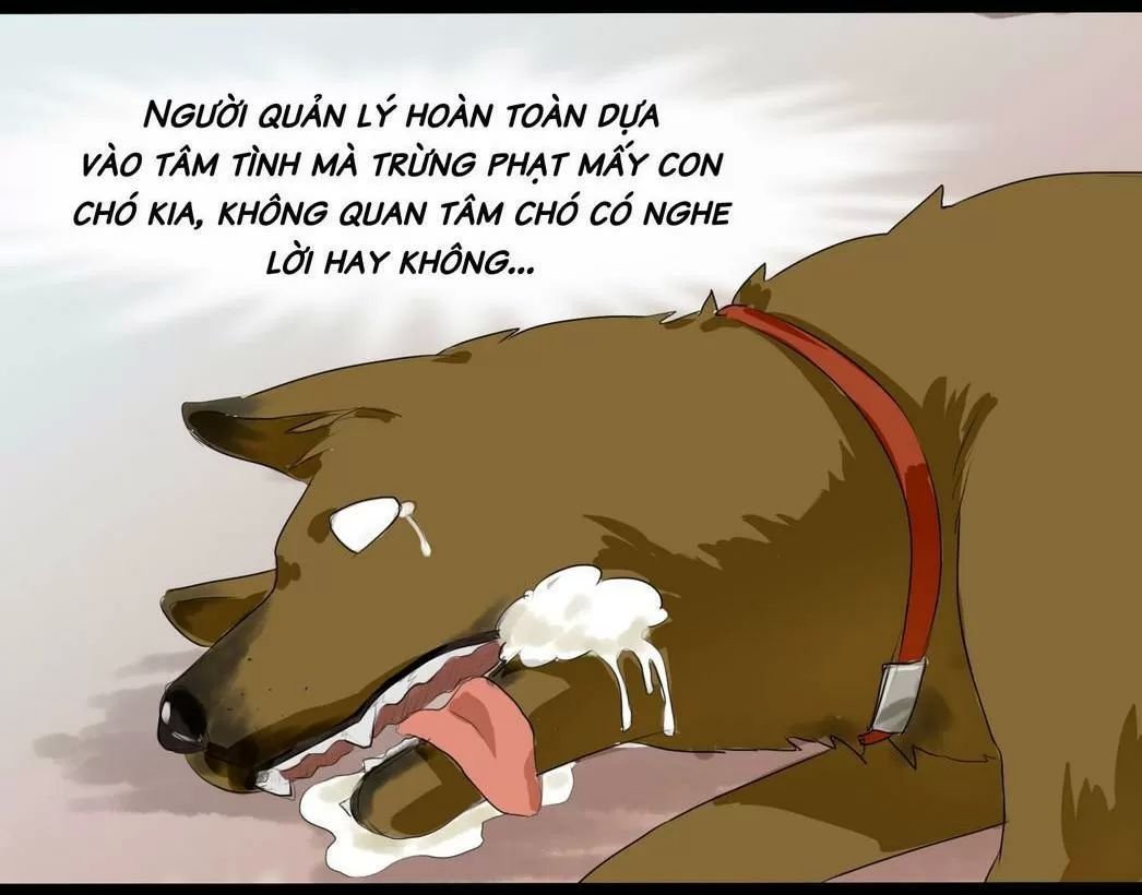 một con chó chapter 57 8