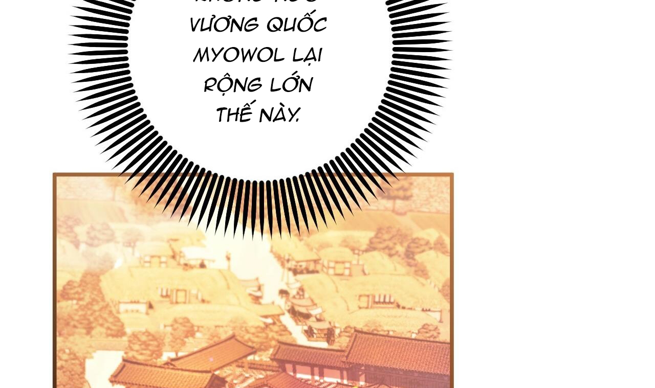 những chú thỏ của hapypy chapter 49 38