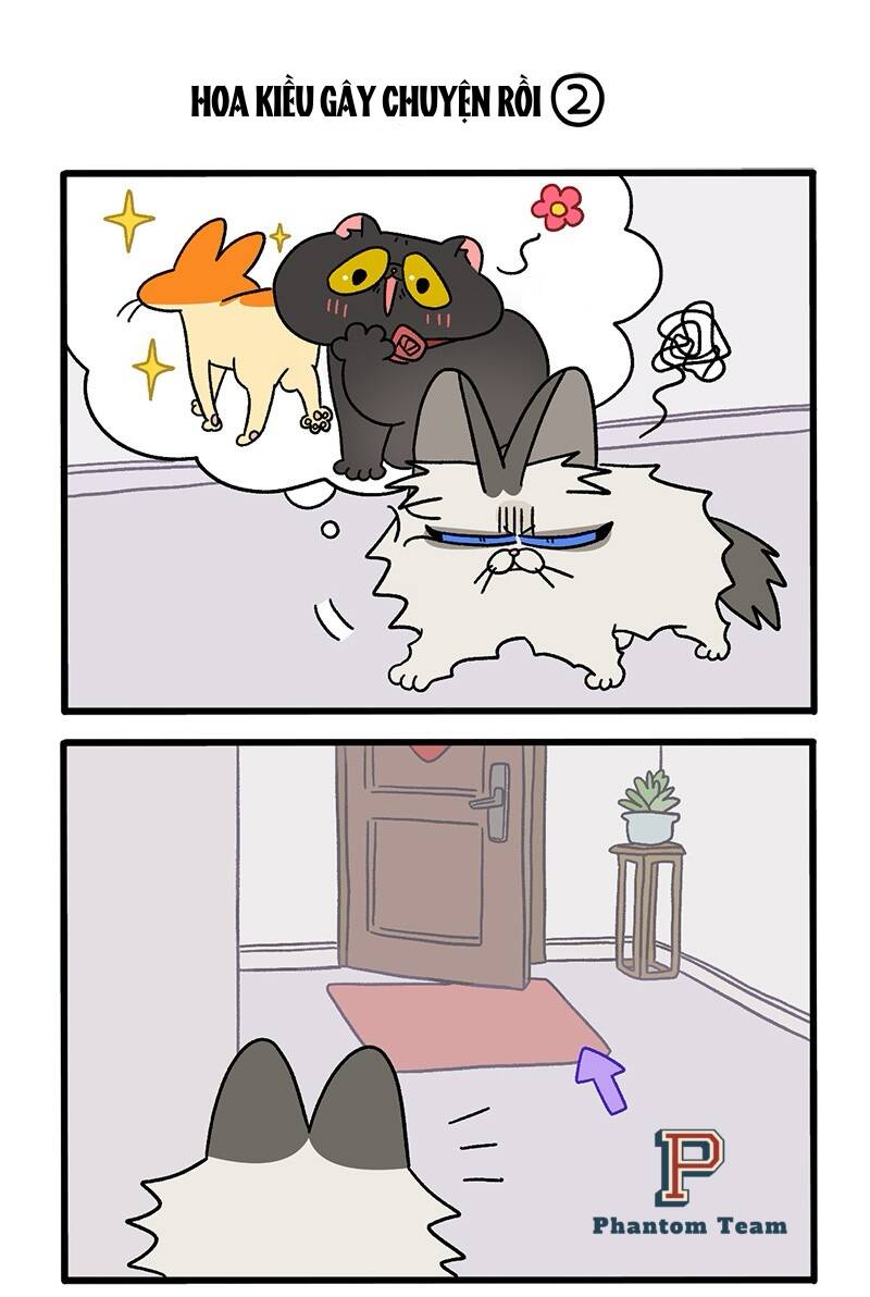 a mãn và mạch trà chapter 36 3