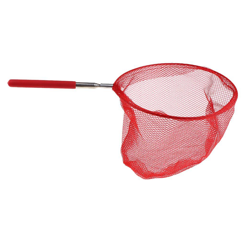 Kids Pond  Extend Telescopic Butterfly  Bug Catcher Green