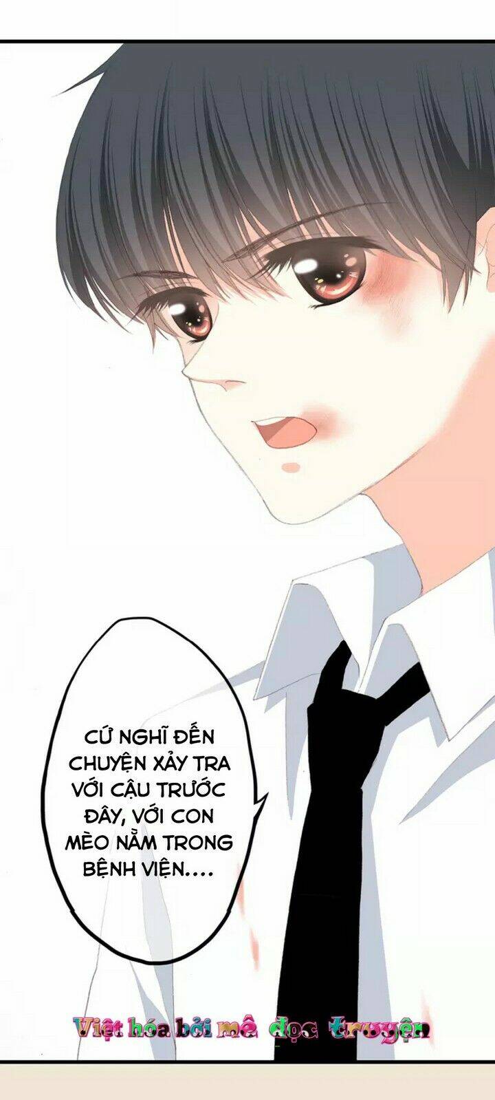 con tim rung động 3 chapter 44 19