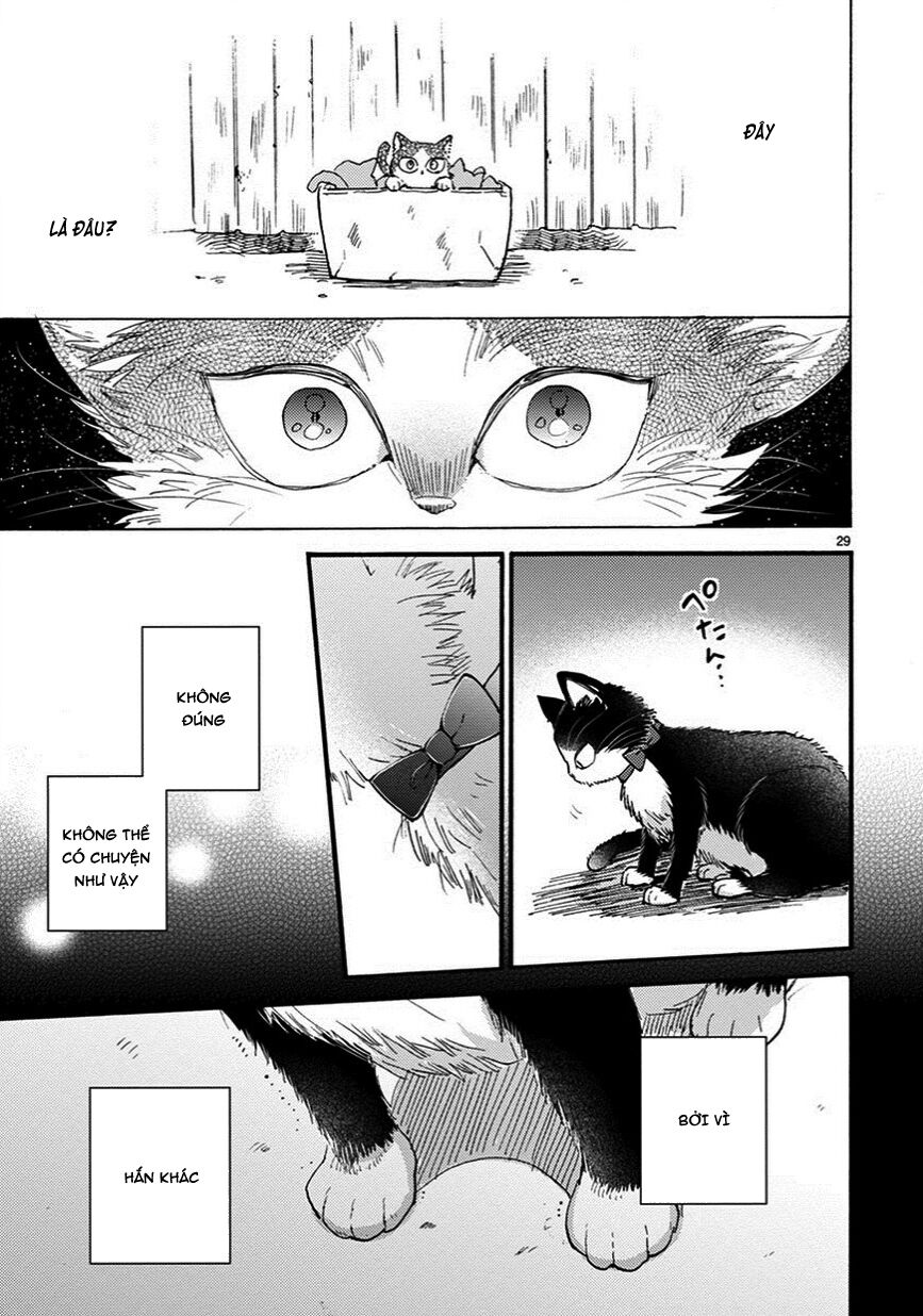 doukyonin wa hiza, tokidoki, atama no ue chapter 7.5 13