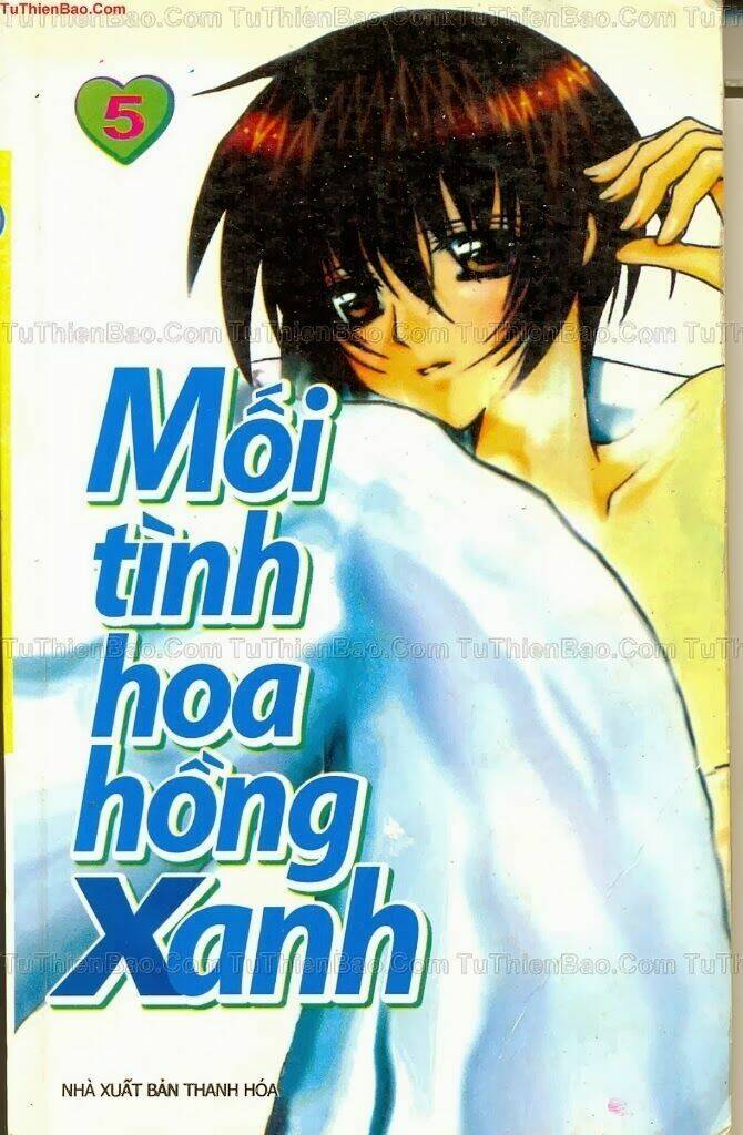 mối tình hoa hồng xanh chapter 5 1