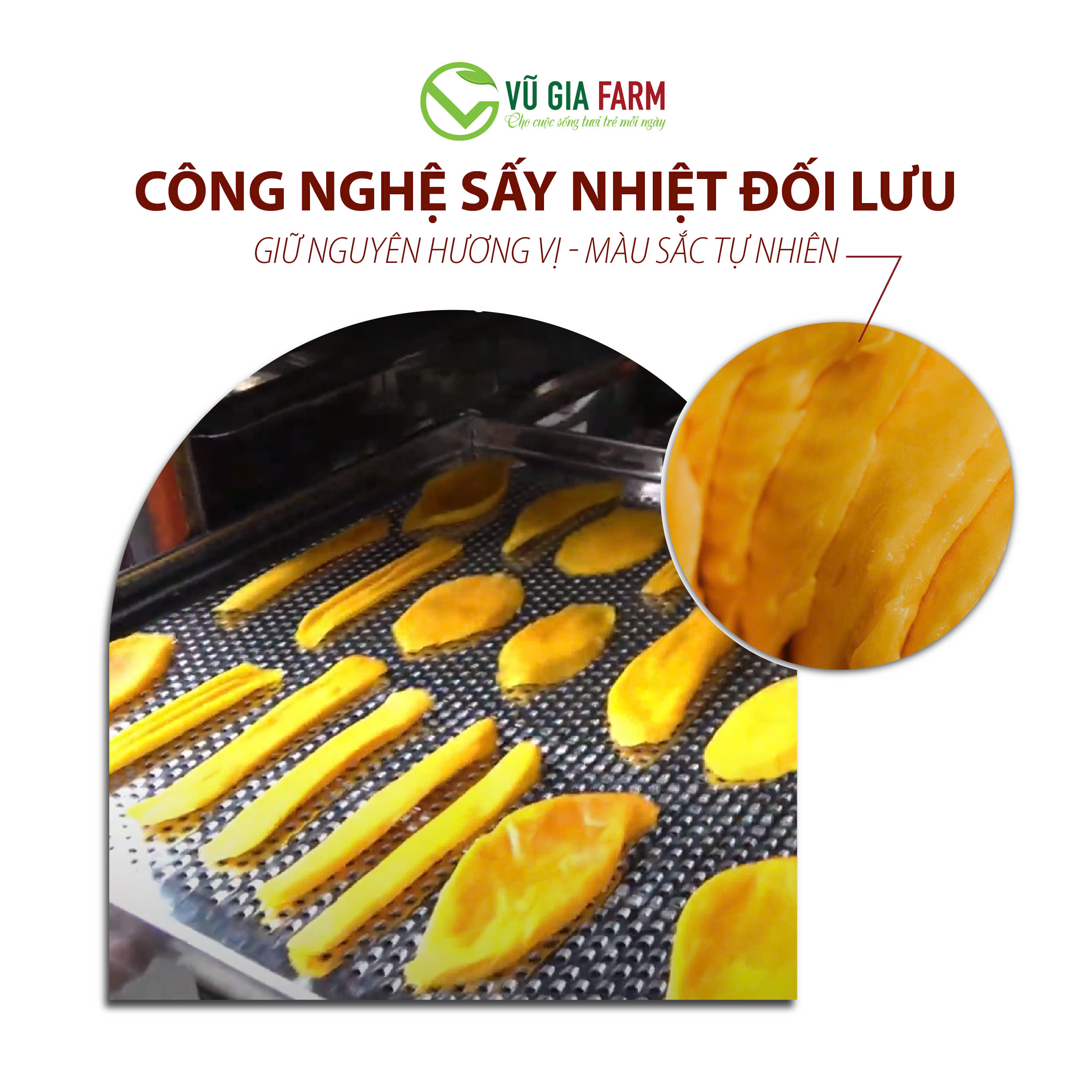 Xoài Sấy Dẻo Muối Ớt (400g/hũ) – chua ngọt thanh, cay mặn nhẹ, thơm đặc trưng