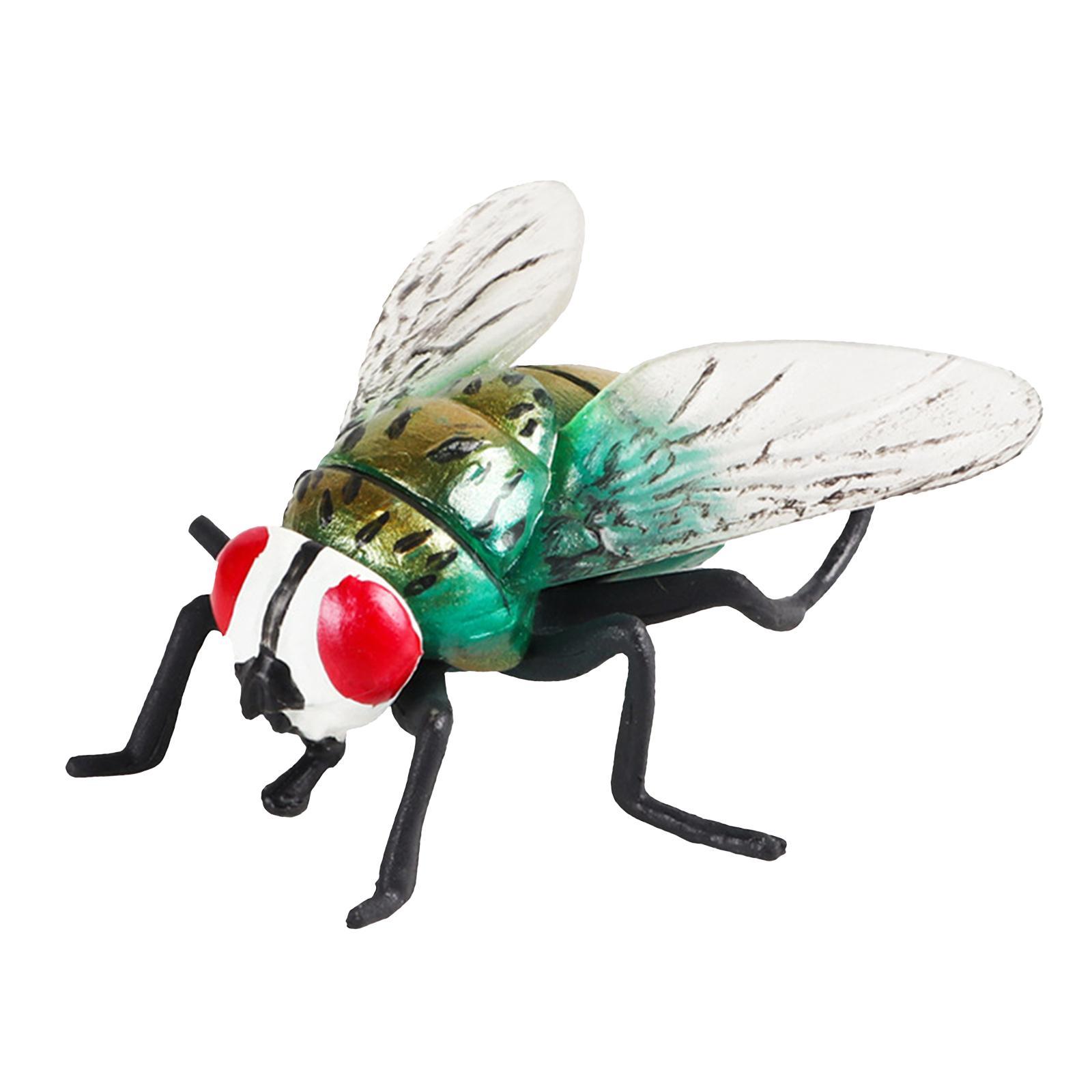 Realistic Fly Toys Educational Learning Toy Party Supplies for Boy Toddlers