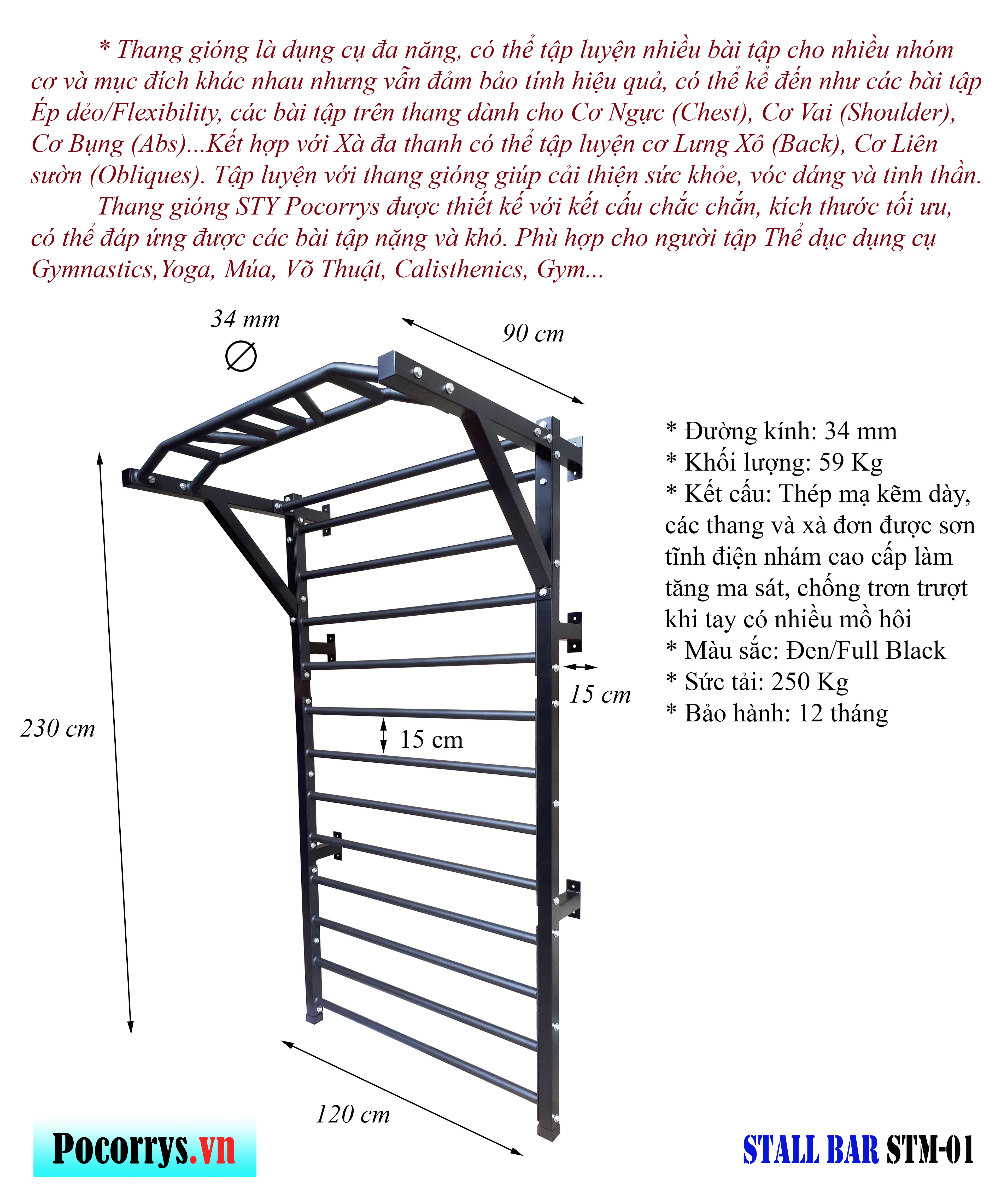 Thang gióng kết hợp xà đa thanh - Stall bars Pocorrys STM-01