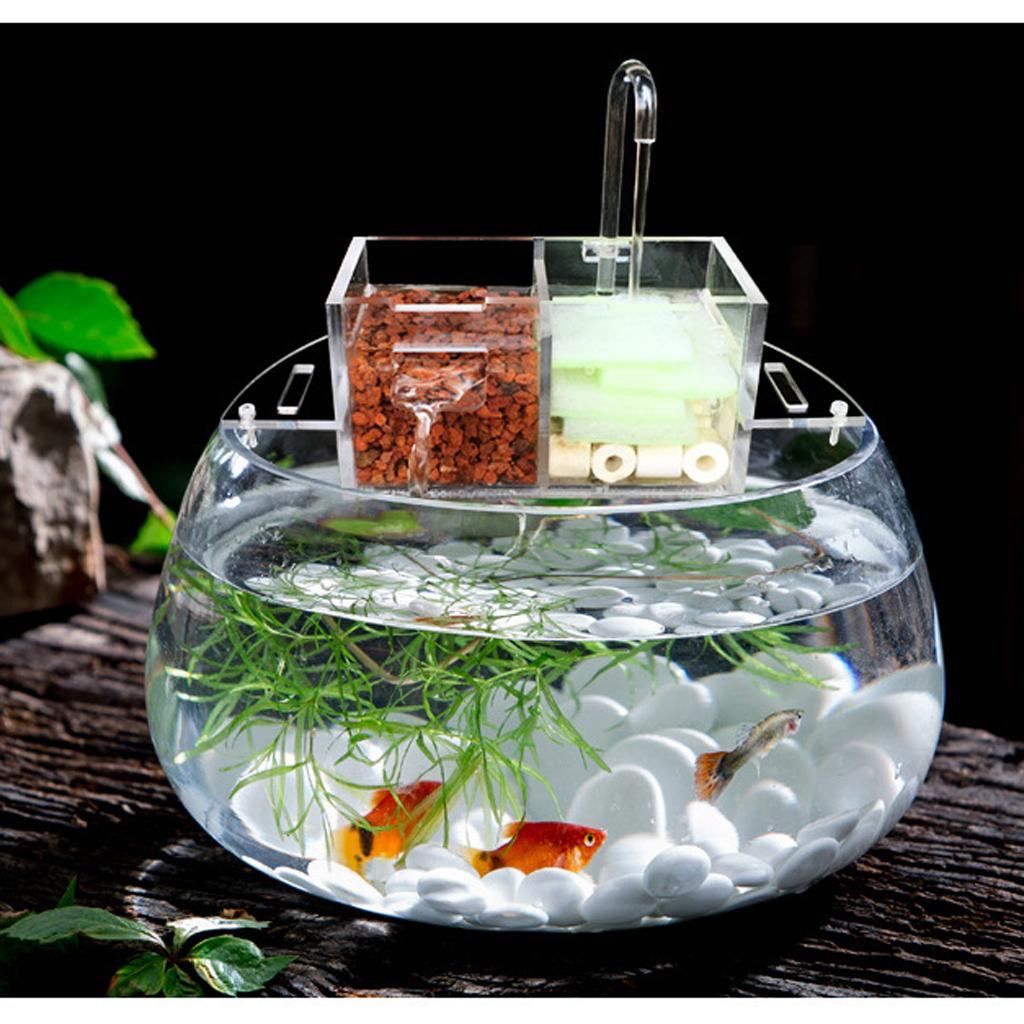 Fish Tank External Filter Box Aquarium Increase Oxygen Water Filter